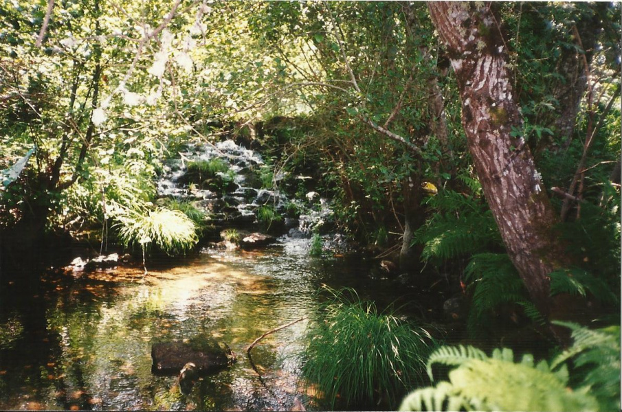 “Uso sustentável da água é dever de todos”, afirma consultora técnica da FAEG