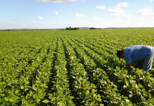Famasul e Aprosoja/MS compõem grupo que vai reestruturar programa de desenvolvimento agropecuário