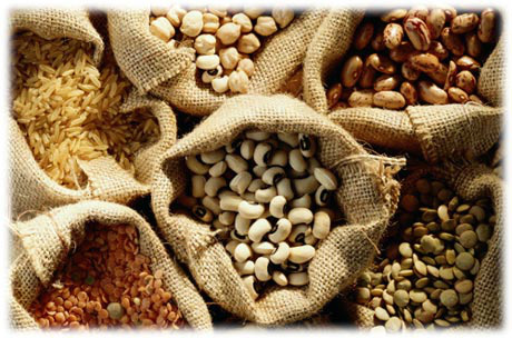 Extensão de produtos no agronegócio faz bem para o meio ambiente e para o bolso do agricultor