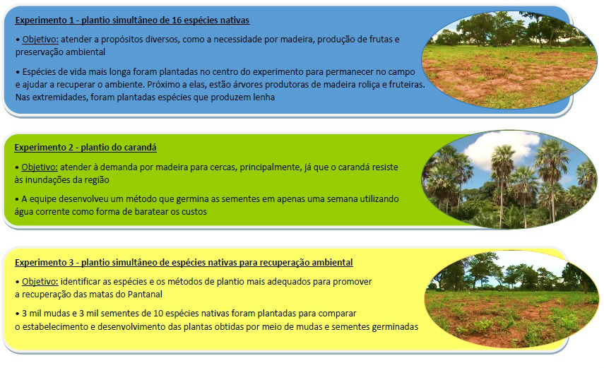 Pesquisa inédita estuda enriquecimento das florestas do Bioma Pantanal