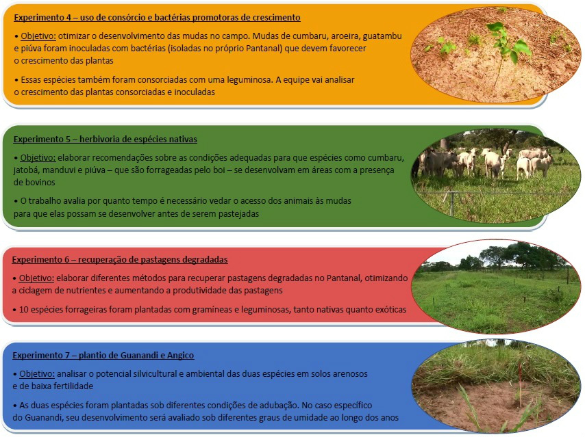 Pesquisa inédita estuda enriquecimento das florestas do Bioma Pantanal