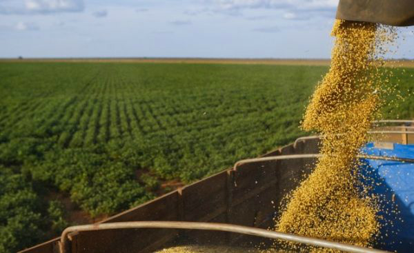 Estimativa de safra agrícola para 2016 varia com diferença de metodologia