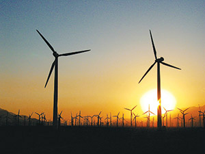 Pesquisas para agroenergia vão da genética aos resíduos