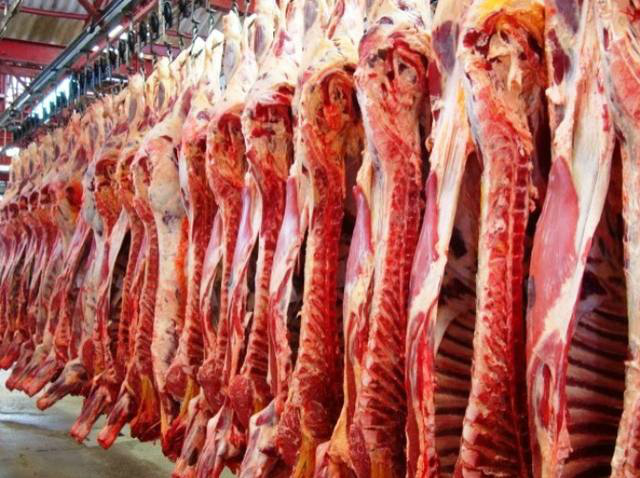 Dianteiro lidera as altas de preços no atacado de carne bovina