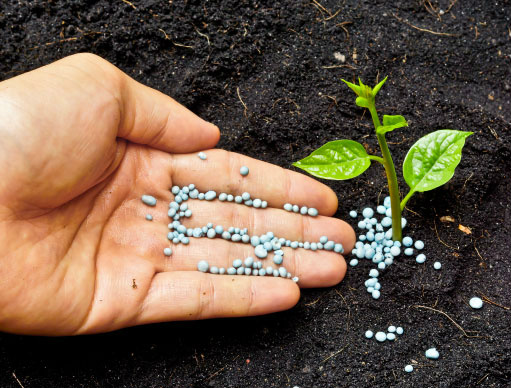 Custos de produção sobem pressionados por defensivos e fertilizantes