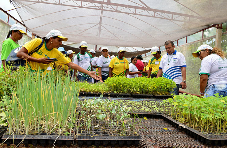 Senar/MS leva produtores de Corguinho para conhecer Assistência Técnica em Terenos
