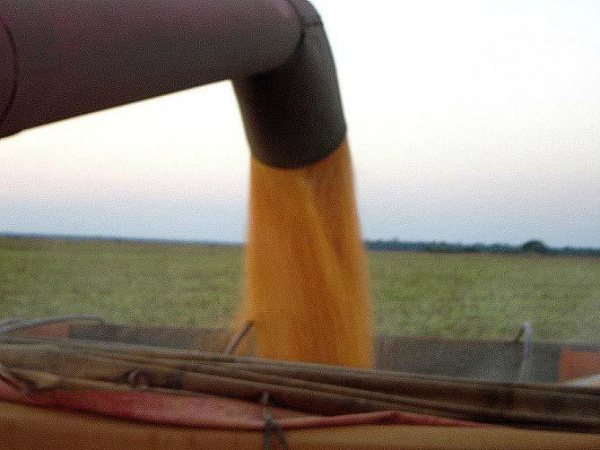 Operação difere da que será realizada no próximo dia 17 deste mês.Foto: Canal Rural
