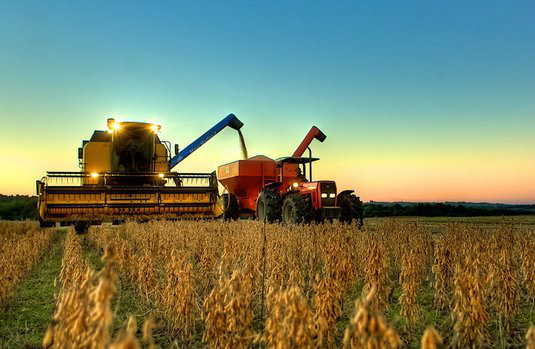 Presidente da Abramilho destaca qualidade da agricultura brasileira