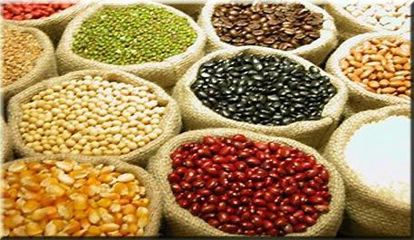 Grãos: Brasil dobra safra a cada 13 anos, aponta CNA