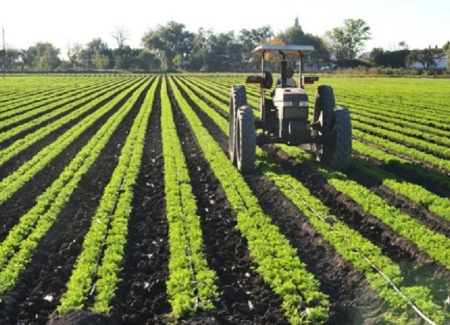 VBP agropecuário registra queda em 2015, diz Mapa VBP agropecuário registra queda em 2015, diz Mapa
