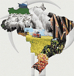 Agropecuária é a principal atividade econômica em mais da metade das cidades brasileiras