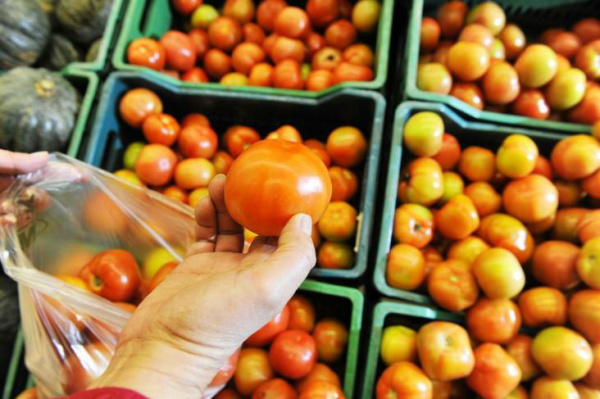 Consumidor deve pagar menos pelo tomate nos próximos meses.Foto: Andréa Graiz / Agencia RBS