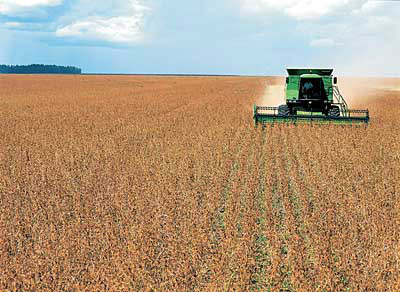 Produção agrícola de MS deve cair 6% com atraso em plantio de milho