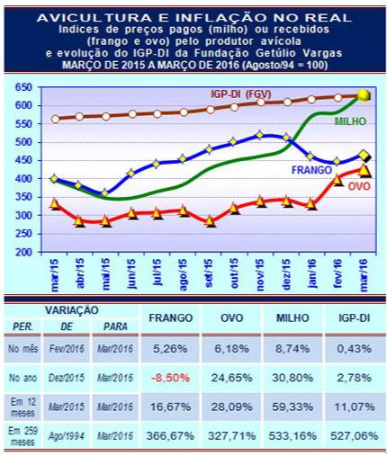 Frango, ovo, milho e inflação: grão supera IGP-DI acumulado no real!