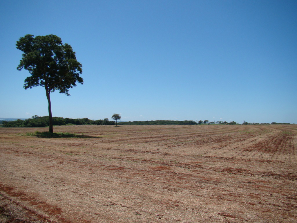 Sistema São Mateus é capaz de recuperar até três milhões de hectares em MS