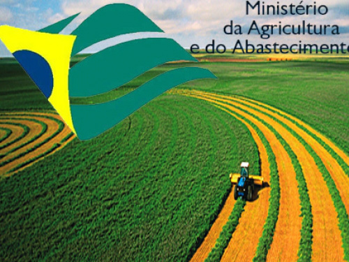 Mapa lança novas vagas de consultoria em aquicultura Mapa lança novas vagas de consultoria em aquicultura