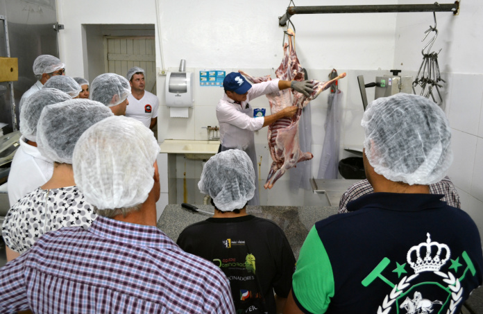 Exigências do mercado fazem ovinocultor procurar saídas Exigências do mercado fazem ovinocultor procurar saídas