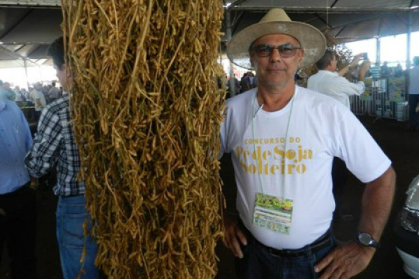 Laguna Carapã faz neste final de semana a festa do Pé de Soja Solteiro O município de Laguna Carapã (MS) está com tudo pronto para a 4° edição do Ranking de Produtividade da Soja safra 2012/2013.Foto: Divulgação