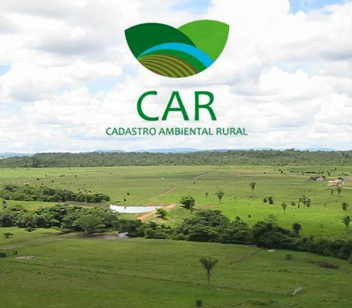 77,61% da área passível de registro está no CAR, diz ministra 77,61% da área passível de registro está no CAR, diz ministra