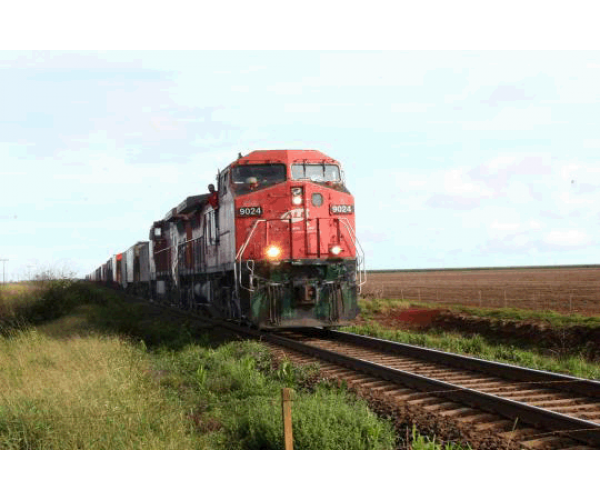 Ramal ferroviário passará por sete municípios de MS O traçado desta ferrovia será de aproximadamente 659 quilômetros, atravessando 19 municípios, dos quais doze no Estado de São Paulo e sete em Mato Grosso do Sul.