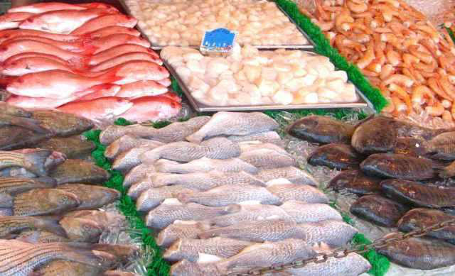 Brasil pode ser autossuficiente e grande exportador de pescado, diz presidente da Embrapa Brasil pode ser autossuficiente e grande exportador de pescado, diz presidente da Embrapa