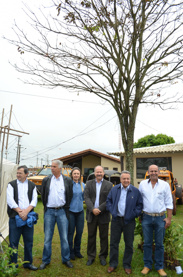 Ex-Ministro da agricultura revê Ipê plantado na Expoagro de 2012 Legenda: Roberto Rodrigues (ao centro) ladeado por gerentes do Sicredi, presidente Lúcio Damália do Sindicato Rural frente ao Ipê plantado em 2012Foto: Eliel Oliveira / Assessoria de Imprensa SRD