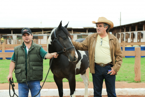 Leilão Dourados QM e PH acontece nesta sexta-feira na Expoagro Foto: Eder Gonçalves / Assessoria de Imprensa SRDLegenda :Gino Ferreira (d) que organiza o leilão QM e PH nesta sexta-feirana Expoagro