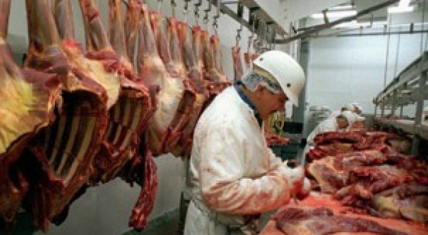 Brasil pode ganhar mercado após carne de cavalo, diz Abiec O episódio também pode ajudar na flexibilização das regras impostas pela região à proteína brasileira.