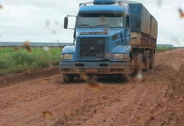 Rodovias ainda são meio mais barato para transportar grãos no Centro-Oeste Por meio das rodovias, o deslocamento do milho de Mato Grosso para Pernambuco custa a metade do preço.Foto: Esalq/Divulgação