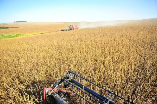 Empréstimos para agricultura empresarial somam R$ 84,9 bilhões Total contratado no Plano Agrícola e Pecuário 2012/2013 representa 73,7% dos recursos previstos para a safra atual.Foto: Tadeu Vilani / Agencia RBS