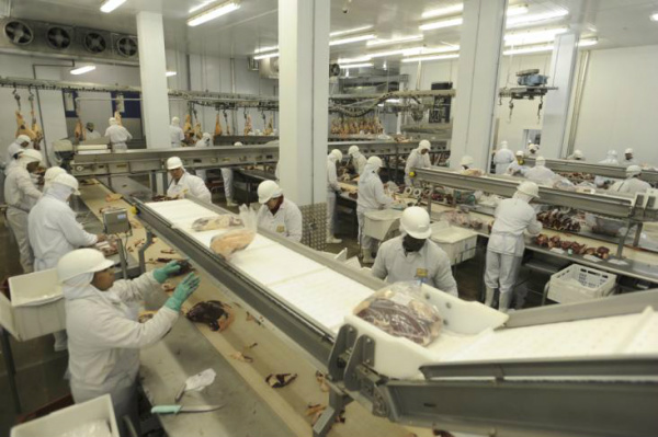 Pesquisa indica desigualdade salarial na indústria alimentícia Maiores salários da categoria são pagos no Sudeste.Foto: Claudio Vaz