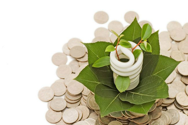 Brasil apto para a bioeconomia Brasil apto para a bioeconomia