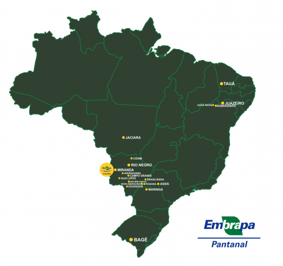 Embrapa Pantanal expande atuação pelo MS e outros estados brasileiros Embrapa Pantanal expande atuação pelo MS e outros estados brasileiros