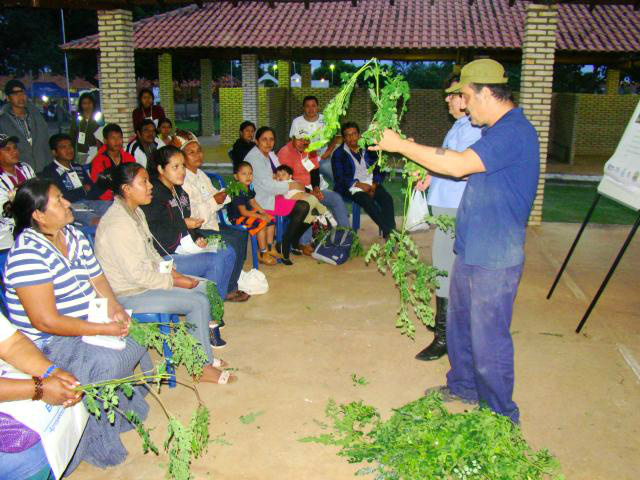 Embrapa Pantanal expande atuação pelo MS e outros estados brasileiros Embrapa Pantanal expande atuação pelo MS e outros estados brasileiros