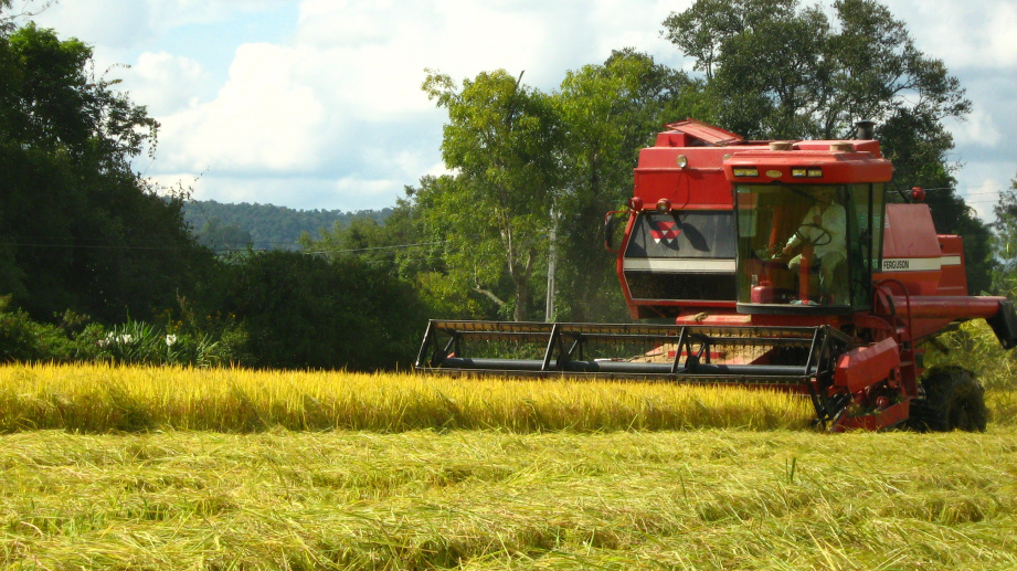 Vitória do Brexit terá impactos importantes no setor agrícola, dizem estudiosos Vitória do Brexit terá impactos importantes no setor agrícola, dizem estudiosos