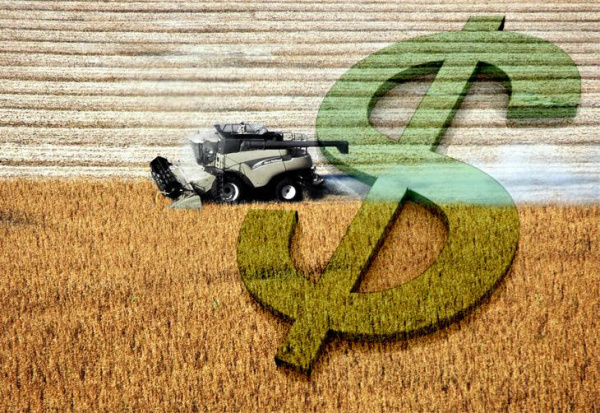 Especialista em Imposto de Renda dá dicas para o produtor rural Muitos produtores rurais têm dúvidas sobre como proceder na hora de fazer a declaração.Foto: Divulgação