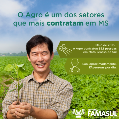 Agropecuária em MS abriu mais de 17 postos de trabalho por dia no mês de maio Agropecuária em MS abriu mais de 17 postos de trabalho por dia no mês de maio
