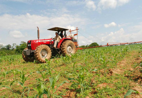 Governo criará agência de Assistência Técnica e Extensão Rural Governo tem recursos de R$ 800 milhões para serem investidos em assistência técnica e extensão rural.Foto: Sérgio Vale/Divulgação