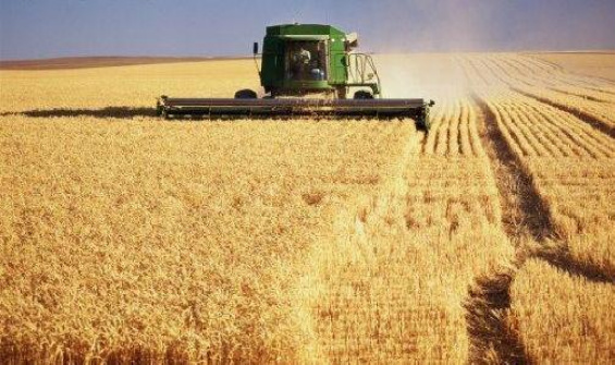 Fórum na Embrapa aborda influência da mudança do clima na agropecuária
