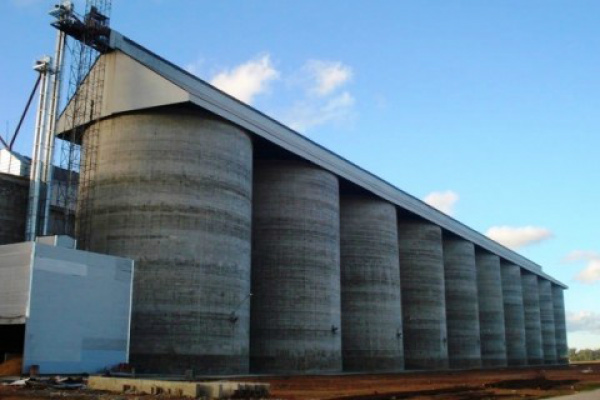 O mercado interno da soja em MS passa por momento positivo. Foto: Divulgação