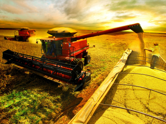 PIB do agronegócio acumula crescimento de 1,55% de janeiro a abril PIB do agronegócio acumula crescimento de 1,55% de janeiro a abril
