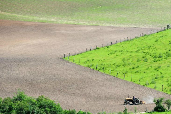 Percentuais de subvenção na agricultura variam de 40% a 70%.Foto: Jean Pimentel / Agencia RBS