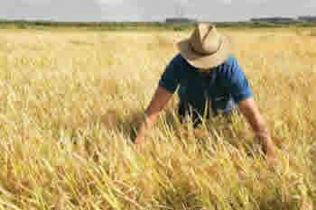 Organizar o produtor é fundamental para fortalecer a agropecuária do País, diz presidente da CNA Organizar o produtor é fundamental para fortalecer a agropecuária do País, diz presidente da CNA