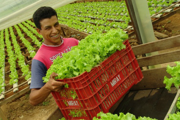Bienal da Agricultura será nos dias 8 e 9 de agosto O evento é destinado a produtores rurais, pesquisadores, técnicos e extensionistas, fornecedores e distribuidores das cadeias produtivas do agronegócio.