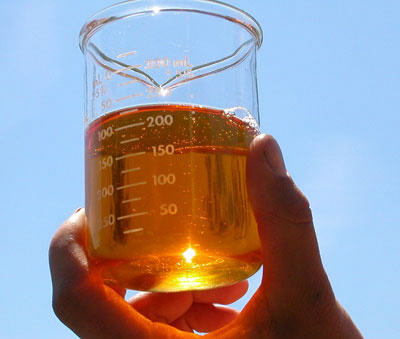 Pesquisa: uma parte fundamental para o desenvolvimento do Biodiesel
