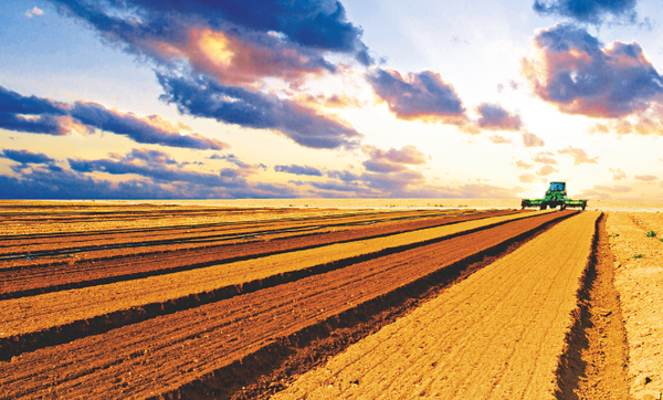 Clima será o melhor dos últimos três anos para agricultura na safra 2016/17