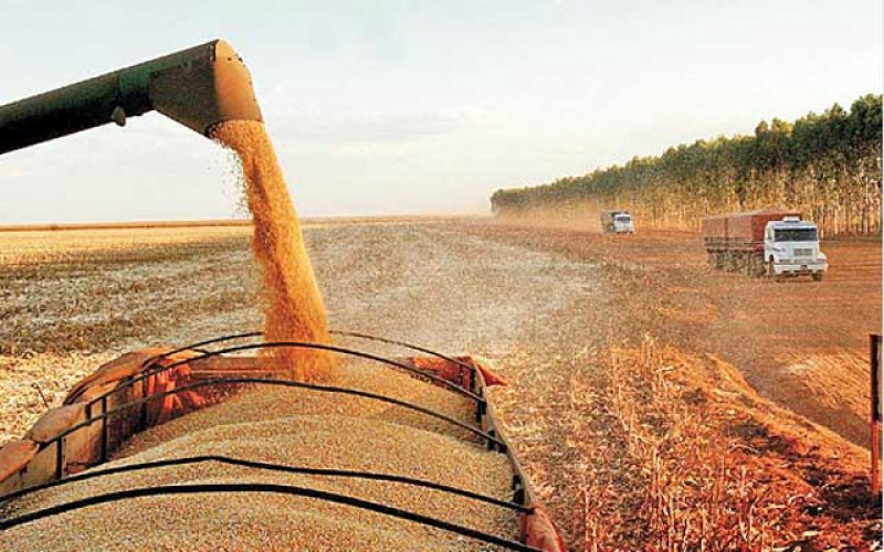 Prazo para declaração do Imposto sobre a Propriedade Territorial Rural (ITR) segue até dia 30 de setembro