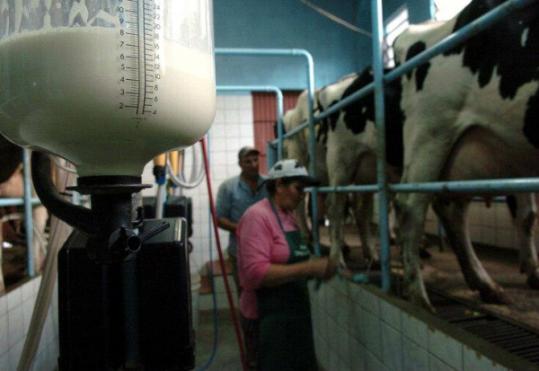 Mato Grosso do Sul teve o maior aumento no preço do litro de leite em todo o país.Foto: Alan Pedro