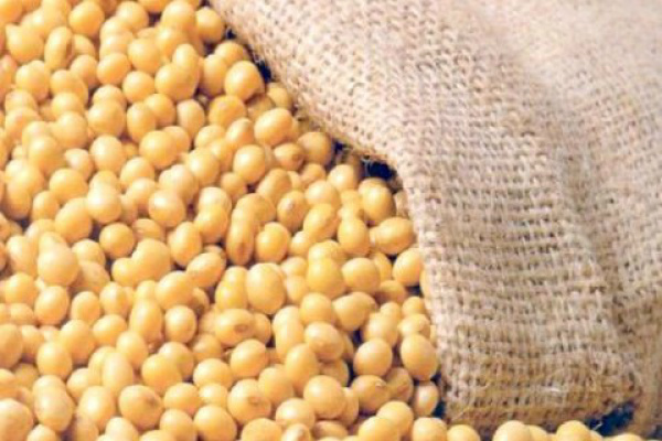 Entidades de MS solicitam redução no VRP da soja e milho Já o VRP da saca de milho é de R$ 30,60, para operação interna, sendo que sua atual cotação de mercado é de R$ 18,50.Foto: Divulgação