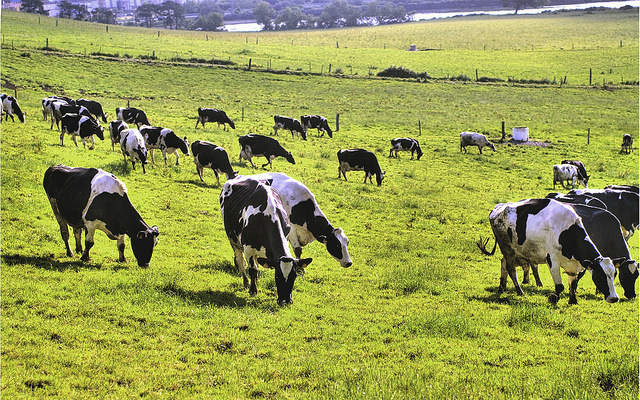 Faturamento da agropecuária deve recuar 1,26% em 2016